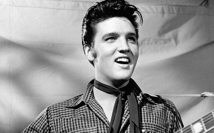 Elvis Presley Theme screenshot #3