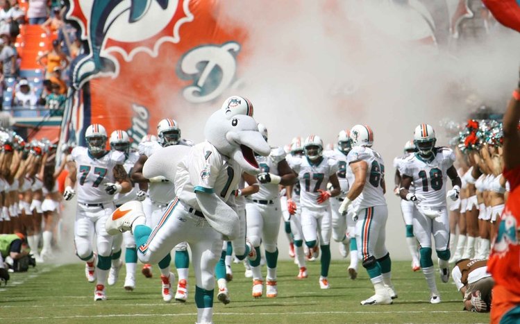 Wallpaper miami miami dolphins logo football club