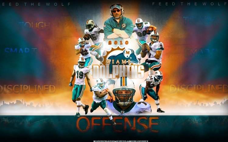 Miami Dolphins Theme screenshot #8