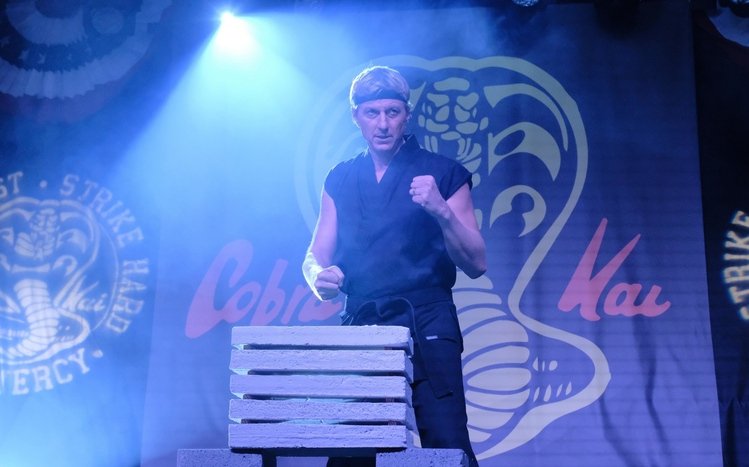Cobra Kai Theme screenshot #11