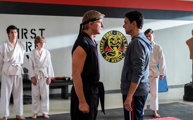 Cobra Kai Theme screenshot #10