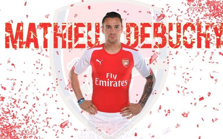 Arsenal FC Theme screenshot #9