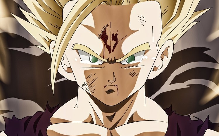 Gohan Theme screenshot #6