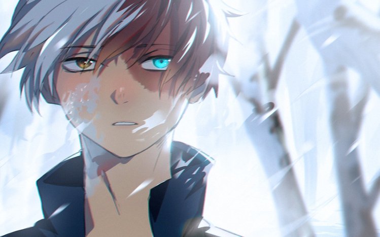 Shoto Todoroki Theme screenshot #8