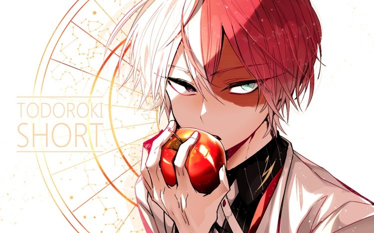 Shoto Todoroki Theme screenshot #3