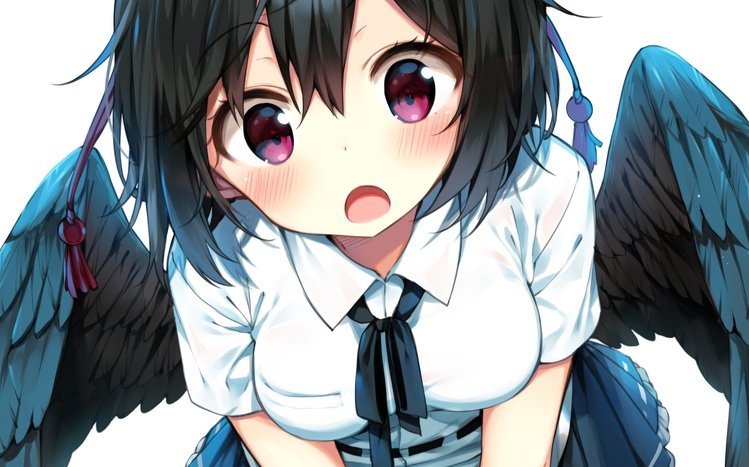 Aya Shameimaru Theme screenshot #7