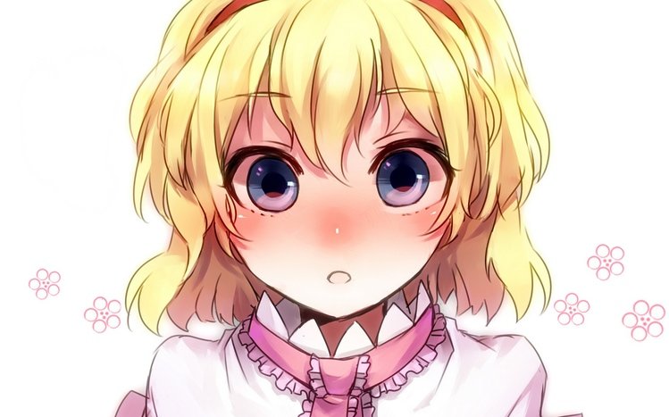 Alice Margatroid Theme screenshot #3