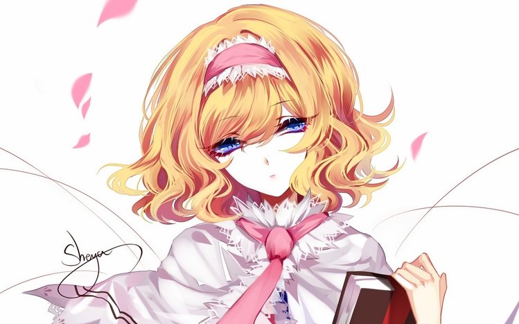 Alice Margatroid Theme screenshot #12