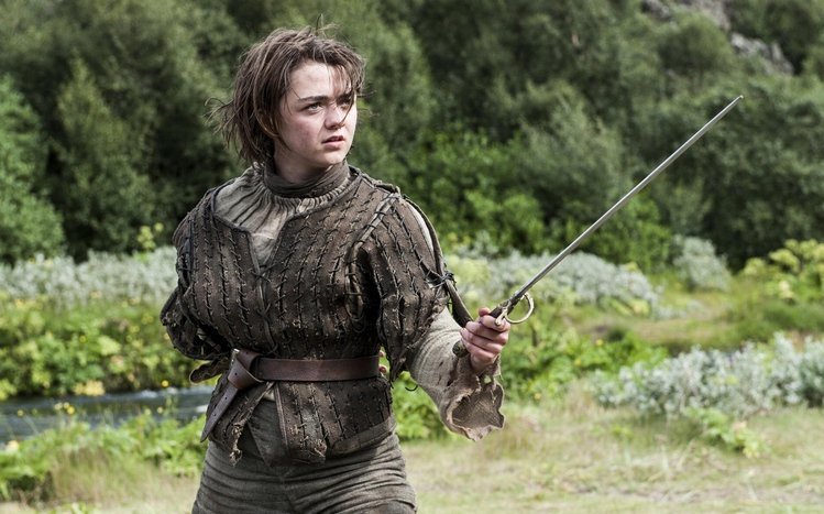 Arya Stark Theme screenshot #9