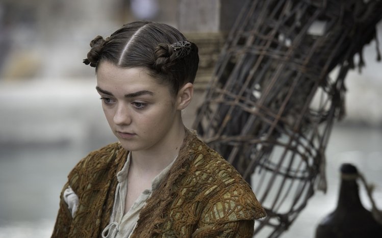 Arya Stark Theme screenshot #7