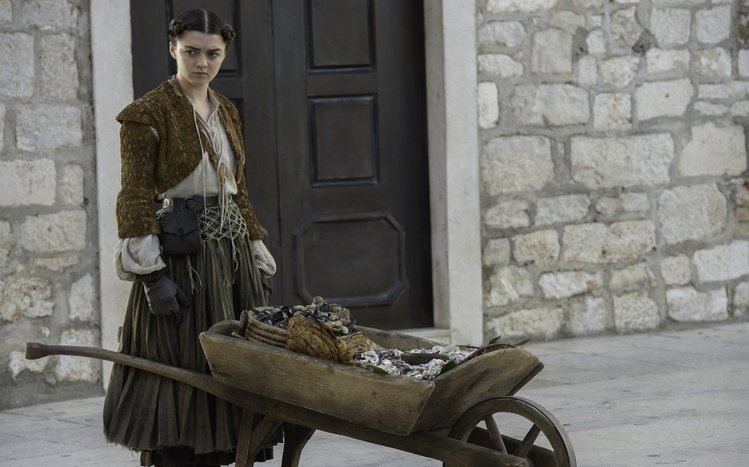 Arya Stark Theme screenshot #8