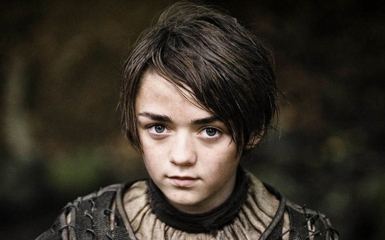 Arya Stark Theme screenshot #3