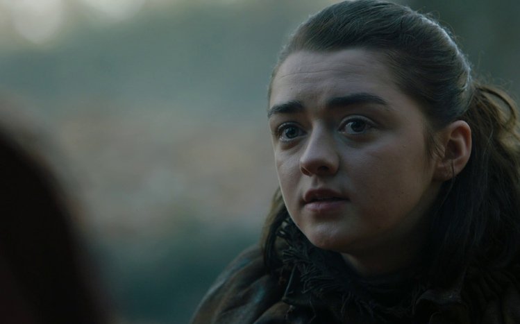 Arya Stark Theme screenshot #14
