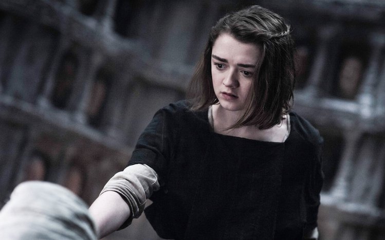 Arya Stark Theme screenshot #11