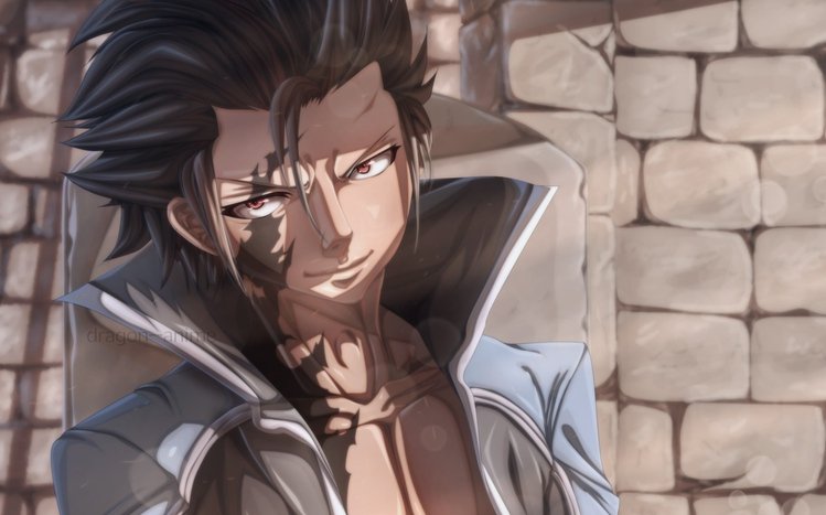 Gray Fullbuster Theme screenshot #13