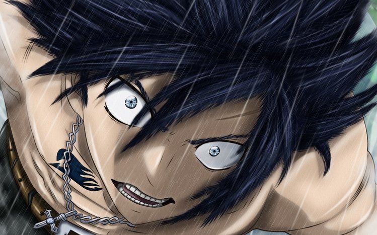 Gray Fullbuster Theme screenshot #6