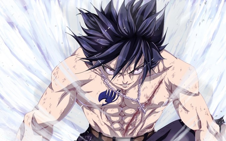 Gray Fullbuster Theme screenshot #8