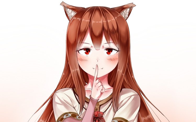 Holo Theme screenshot #15