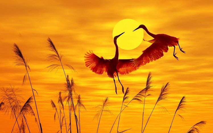 Heron Theme screenshot #15