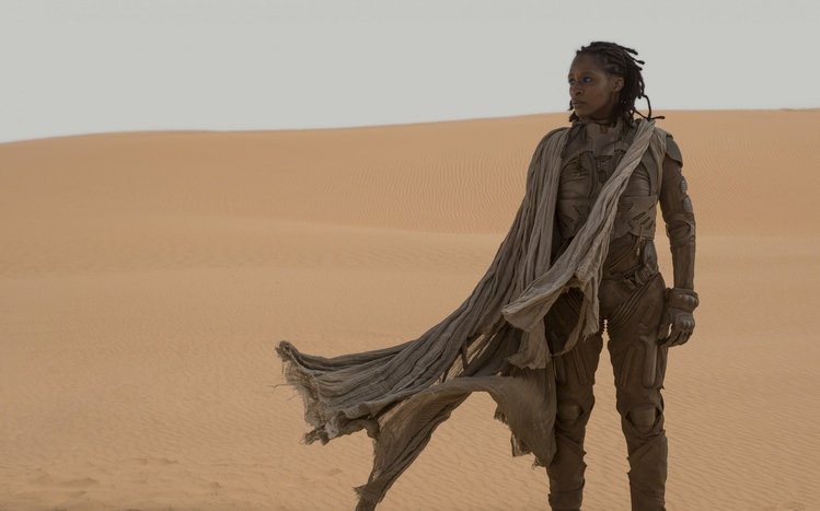 Dune Theme screenshot #3