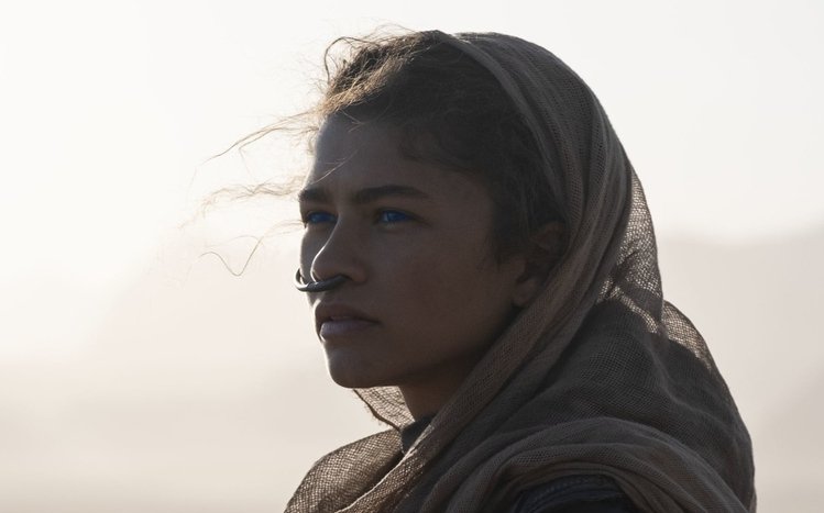 Dune Theme screenshot #12