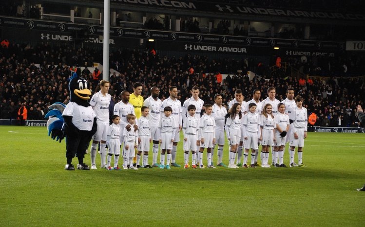 Tottenham Hotspur FC Theme screenshot #3