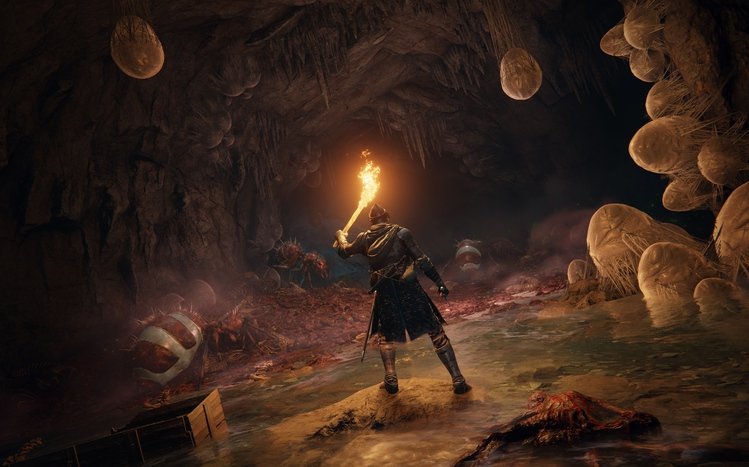 Elden Ring Theme screenshot #5