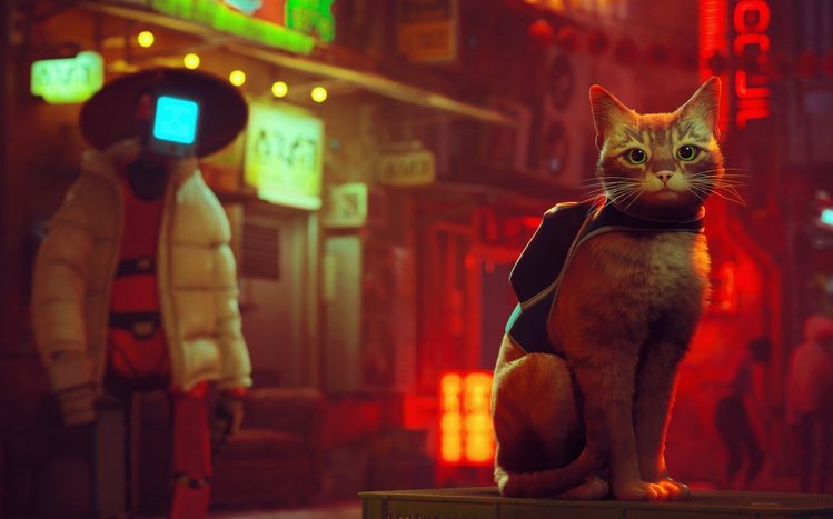 Stray Theme screenshot #7