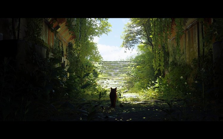 Stray Theme screenshot #13