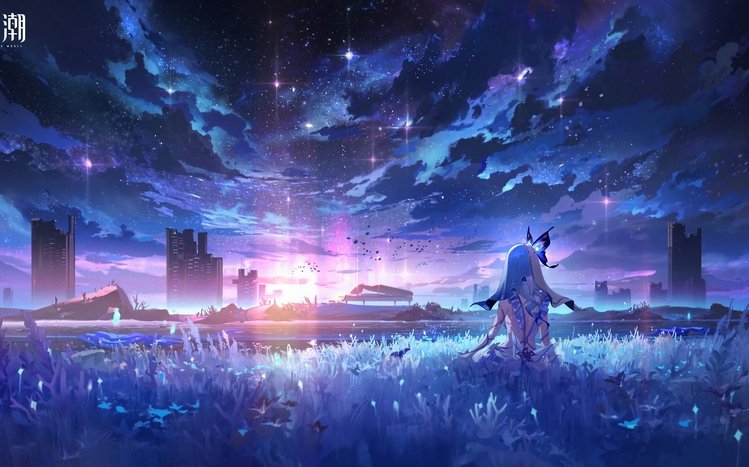 Wuthering waves Theme screenshot #14