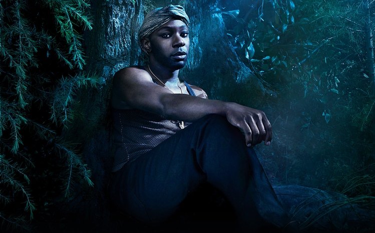 True Blood Theme screenshot #9