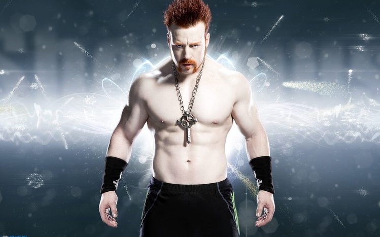 Sheamus Theme screenshot #4