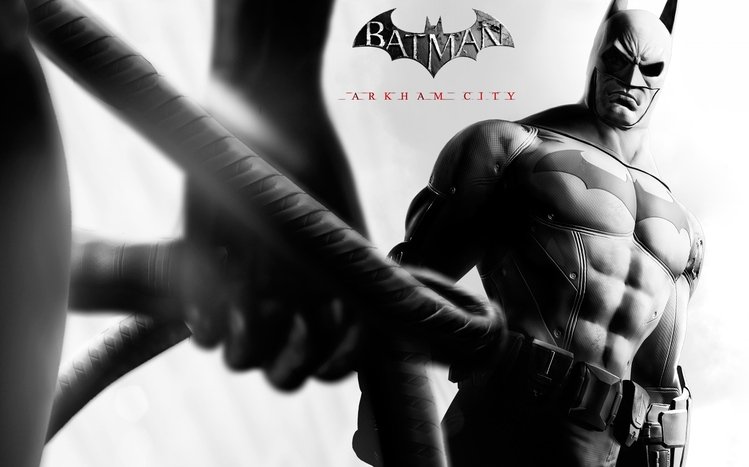 Batman Arkham City Windows 11/10 Theme 