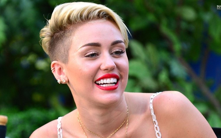 Miley Cyrus Theme screenshot #9