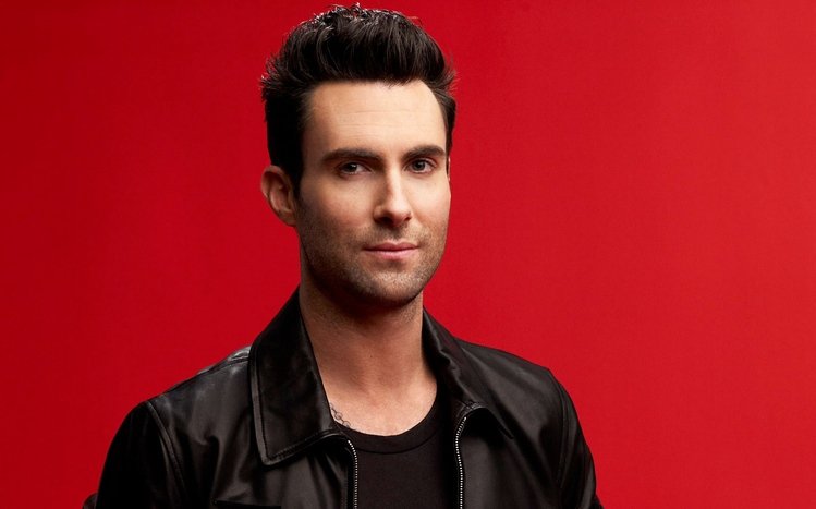 Maroon 5 Theme screenshot #9