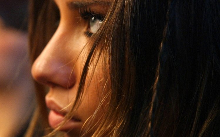 Adriana Lima Theme screenshot #8