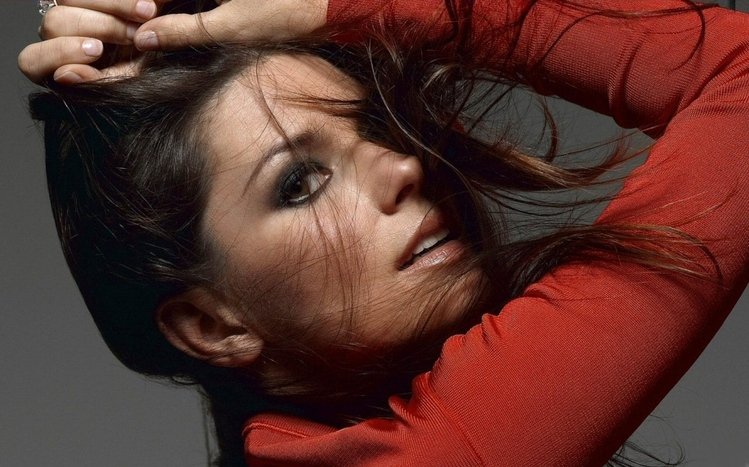 Shania Twain Theme screenshot #9