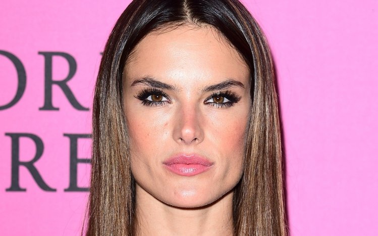 Alessandra Ambrosio Theme screenshot #16