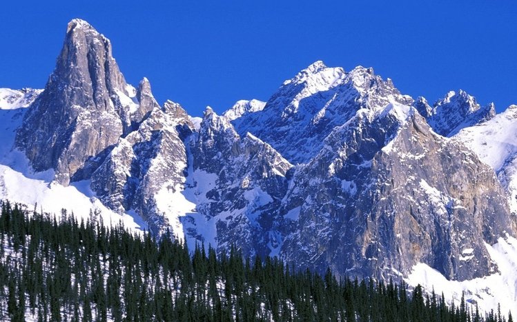 Alaska Theme screenshot #11