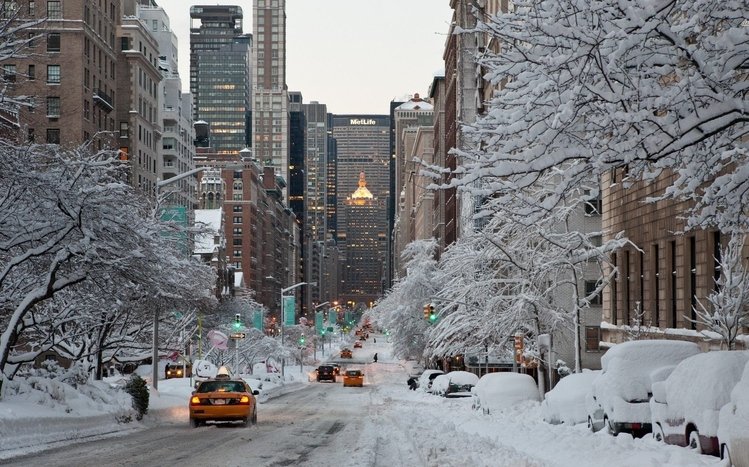 Snowy Day Theme screenshot #1