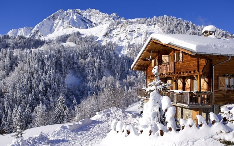 Snowy Day Theme screenshot #8