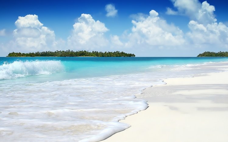 Tropical Beach Theme for Windows 10