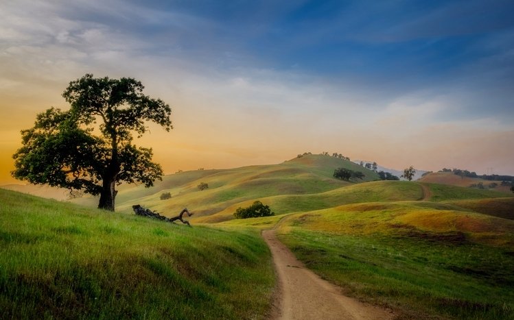 Spring Theme screenshot #8