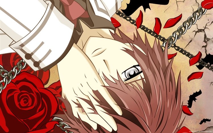 Vampire Knight Theme screenshot #15