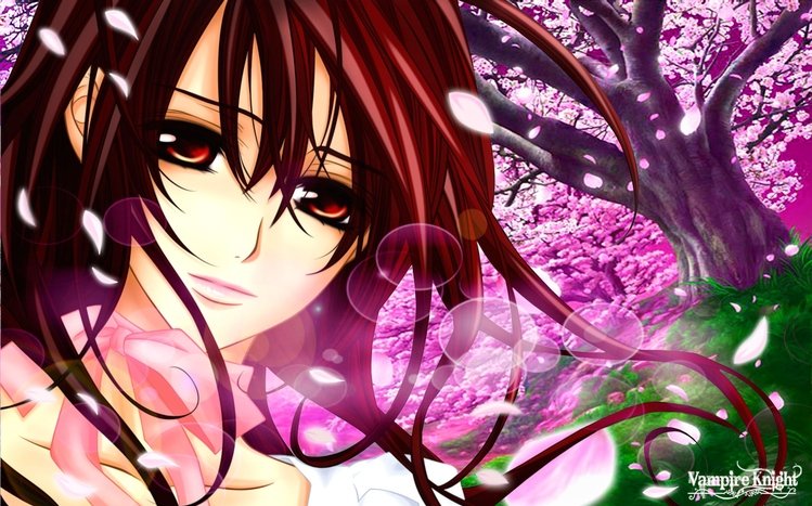 Vampire Knight Theme screenshot #3