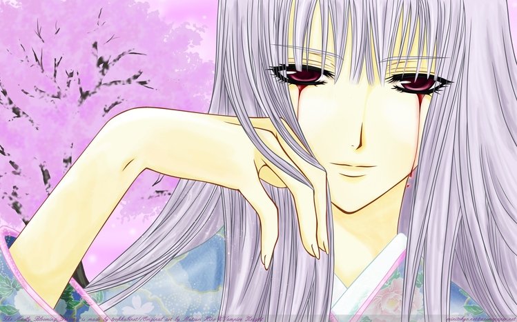 Vampire Knight Theme screenshot #8