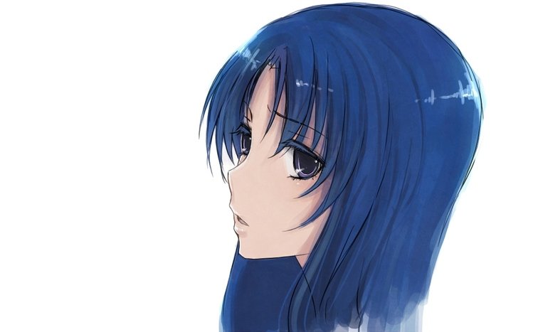 Toradora! Theme screenshot #18