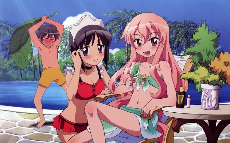 Zero No Tsukaima Theme screenshot #11