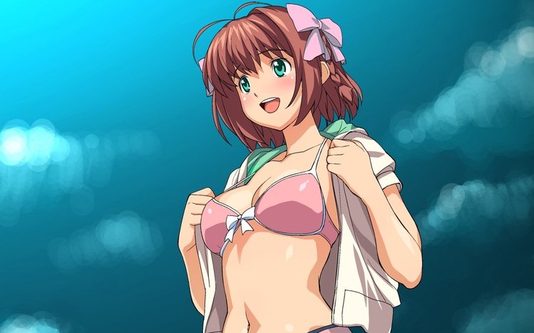 THE iDOLM@STER Theme screenshot #3