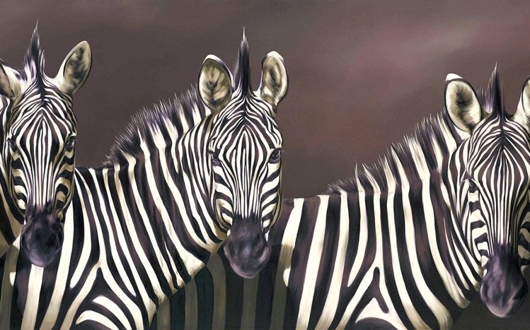 Zebra Theme screenshot #13